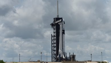 entscheidung-am-samstagmorgen-ueber-den-start-des-bemannten-spacex-fluges