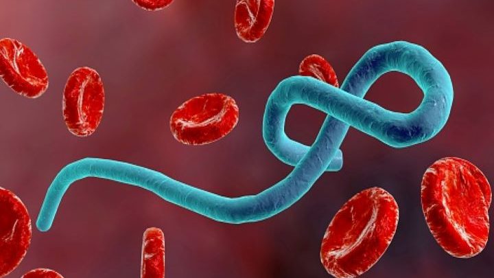 ebola-virus-outbreak-in-republic-of-congo-amid-covid-19-crisis;-know-what-is-it-&-its-symptoms