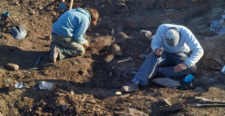 ueberreste-eines-neuen-fleischfressenden-dinosauriers-mit-kleinen-fluegeln,-der-in-argentinien-entdeckt-wurde